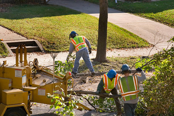 Best Storm Damage Tree Cleanup  in Inwood, NY