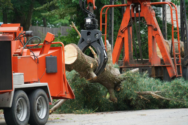 Best Grass Overseeding  in Inwood, NY